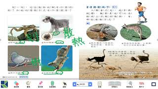 5/31-06/04課程1:猜猜這是誰的腳