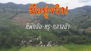 เหลือเชื่อ! มีที่พัก-ลับหรูกลางป่า ริมเขื่อนบางลาง