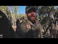 wyoming bull with a bow crazy public land elk hunt