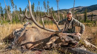 WYOMING BULL with a BOW!!! - (CRAZY Public Land Elk Hunt)