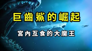 巨齒鯊為什麼這麼大？ 它會在子宮內互相殘殺？