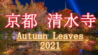 第二弾【京都の紅葉】The京都と言えばの清水寺の紅葉に行ってみた#清水寺#京都#紅葉#ライトアップ#八坂#四条#高台寺#不動産#自然#綺麗#景色