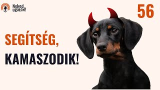 Így éld túl a KAMASZKORT!  | #56