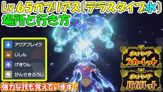 【ポケモンSV】強ポケモン Lv.６５ガブリアス（テラスタイプ水）場所と行き方。　※強技持ちです！【ポケットモンスタースカーレットバイオレット】