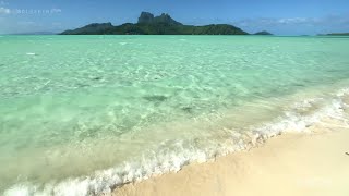 Tropical White Sand Beach Waves, Relaxing Motivate Inspire Explore | French Polynesia 🇵🇫 | 4K Travel