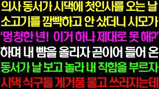 실화사연-의사 동서가 시댁에 첫인사를 오는 날 소고기를 깜빡하고 안 샀더니 시모가 내가 막말을 하는데.. /라디오사연/ 썰사연/사이다사연/감동사연