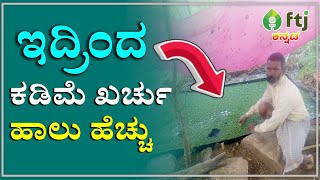 ಚಿಕ್ಕ ಜಾಗದಲ್ಲಿ ಚೊಕ್ಕದಾಗಿ ಅಜೋಲಾ ಬೆಳೆದ ರೈತ | Azolla Farming | Azolla