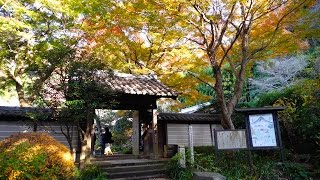 2016 鎌倉瑞泉寺の紅葉(4K) Autumn Colors At Zuisenji Temple In Kamakura(UHD)