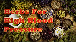 Best Herbs good For High Blood Pressure