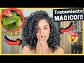 🤩Tratamiento de SÁBILA (ALOE VERA)🌵 MUY FÁCIL y EFECTIVO para un Cabello Rizado SALUDABLE y HERMOSO😍