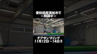 「チアタンブリング」2022年11月12日～14日③