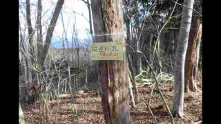 1月17日軍畑から高水山ー黒山ー棒ノ嶺ー川井駅縦走