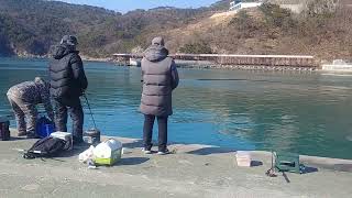 부산 가덕도 대항 Busan Gadeokdo Dae Port