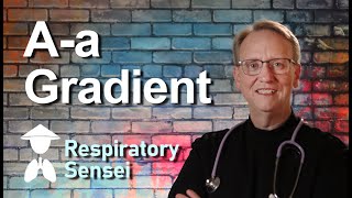 Respiratory Therapy PAO2-PaO2 (A-a Gradient) A-aDO2