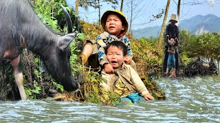 Orphan boy went looking for food in the forest, but the crazy man continued to kidnap his sister