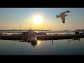 chilling by the lahti harbour july 2021 finland 4k