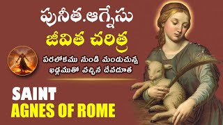 పునీత.ఆగ్నేసుమ్మ  జీవిత చరిత్ర |Story Of St. Agnes | Stories Of Saints | 12 ఏళ్లకే వేద సాక్షి మరణం😭😭