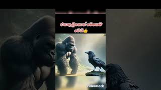 Two animals mixed make new animal short video  #short #එකතු  උනොත්  මෙහෙම වෙයි# mahee film hub 😍😍😍