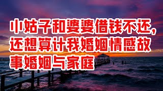 小姑子和婆婆借钱不还，还想算计我#婚姻情感故事#婚姻与家庭 - 情感故事 2023