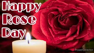 Rose Day Status 🌹❤ Happy Rose Day | Happy Valentine's day | Trending Whatsapp Status