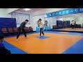 황도윤 태극권 추수 방어 연습영상 taichi push hand defense training