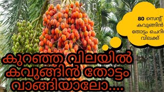 ചെറിയ വിലക്ക് ഒരു അടിപൊളി 80 സെന്റ് കവുങ്ങിൻതോട്ടം വില്പനക്കുണ്ട്....