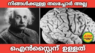 നമ്മുടെ തലച്ചോർ അല്ല ഐൻ‌സ്റ്റൈന് ഉള്ളത് | Amazing Facts Malayalam | AOM