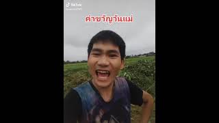 ดูนี่คำขวัญวันแม่.