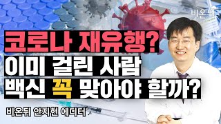 코로나 재유행? 이미 걸린 사람 백신 꼭 맞아야 할까?