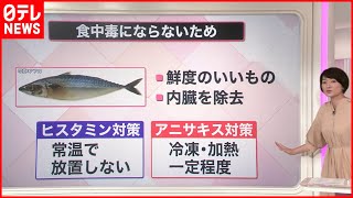 【解説】秋の魚と食中毒  アニサキス被害  煮ても焼いても食べられない“原因物質”も…『知りたいッ！』