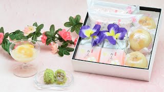 【K. Minamoto】 2024 Spring Gift box 【Japanese sweets】