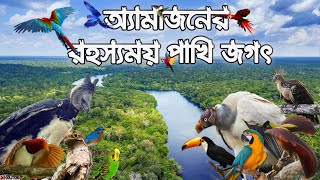 অ্যামাজনে কি কি পাখি আছে? অ্যামাজনের ২১ টি অদ্ভুত সুন্দর পাখি ! Birds Of Amazon | 10 Solutions