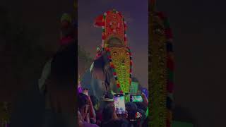 Dubai Thrissur Pooram 🐘🐘🐘| #shorts #youtubeshorts