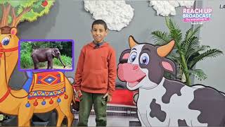 Learn English with Reach Up Broadcast #Animals Actions  #episode3