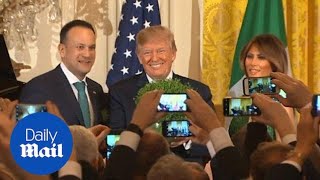 Trump welcomes Irish Prime Minister for St Patrick's Day fun - Daily Mail