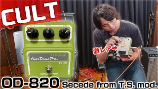 【最高の歪み】CULTのOD-820 MODを入手しました。【エフェクターレビュー】【James Tyler Classic】