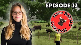 10k Water Buffalo Dream Ep. #13 | Farming the Impossible 🚜🐃