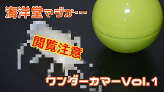 【ガチャ】閲覧注意！！海洋堂…マジか…　ワンダーカマーVol.1を開封！！