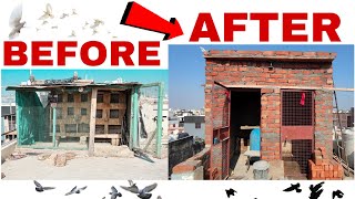 FINALLY अपना PIGEONS LOFT बनके तैयार हैं ! || PIGEONS LOFT EPISODE - O6