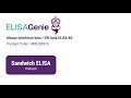 Mouse Interferon beta / IFN beta ELISA Kit (SKU: MOFI00919) - ELISA Genie