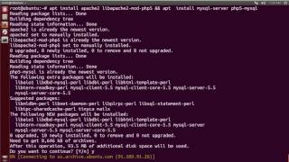 How To Install Phalcon PHP Framework on Ubuntu