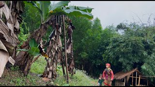 It was raining so hard that Ly Thi Tien and her two children could not cook rice.