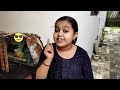 new member in our family ഞങ്ങളുടെ കുടുംബത്തിലെ പുതിയ ഒരു അതിഥി hello kitty vlogs