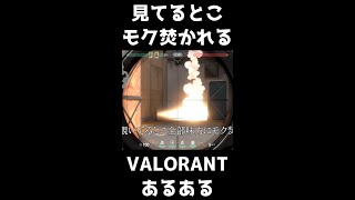 【VALORANTあるある】覗いてると全部味方にモク焚かれる