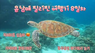 가이드 없이 바다에서 하루종일 놀기 ll 거북이야 강아지야!? -해외육아 8일차 ll