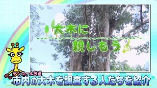 ダイジェスト 令和3年9月後半号　吹田市広報番組「お元気ですか！市民のみなさん」