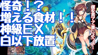 白以下オートで神級EX 怪奇！？　増える食材！！ グルメジャングルは夏のち鮫【千年戦争アイギス】