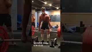 데드리프트 250kg 도전