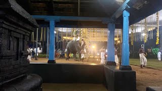 Chittilappilly Padmanabhan Elephant at Sree Subramanya Swami Temple, Kuzhur