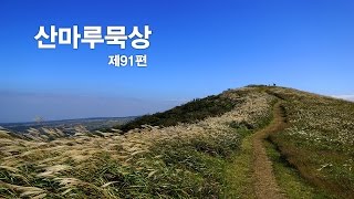 산마루묵상 제91편 \